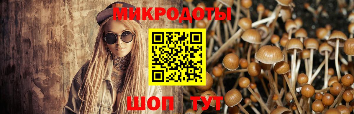 Псилоцибиновые грибы GOLDEN TEACHER  Вход с VPN  Елабуга  Псилоцибиновые грибы Psilocybe 